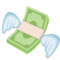 Money With Wings emoji on Facebook